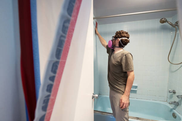 Mold Remediation for Vacation Homes in Memphis, MI