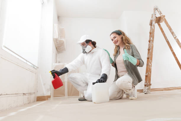 Best Post-Remediation Verification Testing  in Memphis, MI